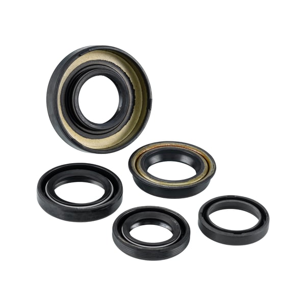 Wellendichtringsatz NARAKU f�r MINARELLI liegend-stehend